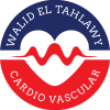 Dr Walid El Talhawy Logo